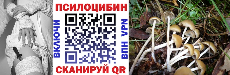 Псилоцибиновые грибы Psilocybine cubensis  Купить  Щёлково 